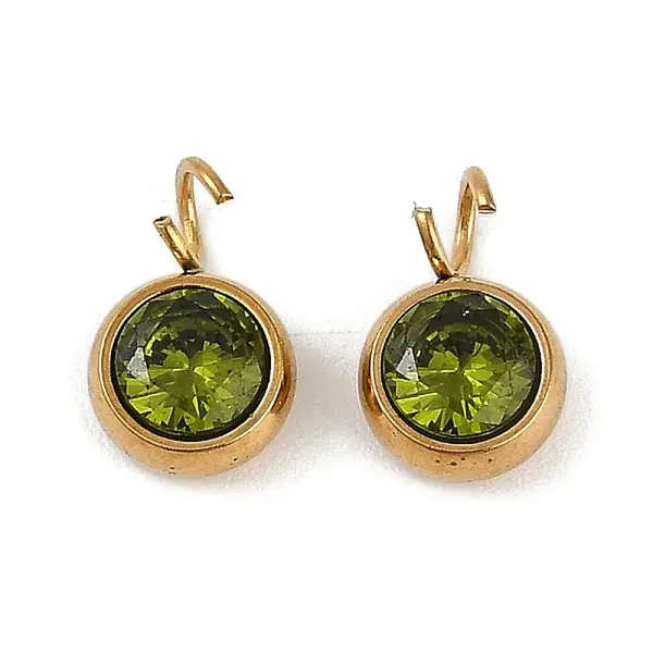 Ion Plating(IP) 304 Stainless Steel Micro Pave Cubic Zirconia Charms
