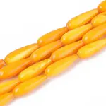 Natural Freshwater Shell Beads Strands