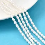 Natural Cultured Freshwater Pearl Beads Strands