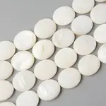 Natural Freshwater Shell Beads Strands