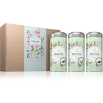 Naturalis Vánoční sada bylinných čajů Pohoda BIO dárková sada