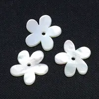 Natural White Shell Beads