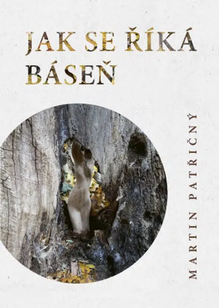 Jak se říká kniha - Martin Patřičný - e-kniha