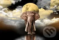 Sloní sny 2v1, dřevěné