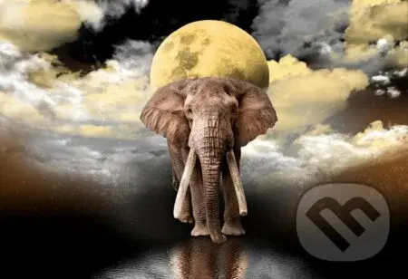 Sloní sny 2v1, dřevěné