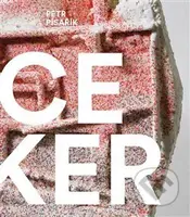 Space Maker - David Korecký,  Marek Pokorný - kniha z kategorie Malířství a sochařství