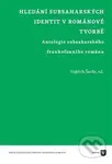 Hledání subsaharských identit v románové tvorbě (Antologie subsaharského frankofonního románu) - kniha z kategorie Literární věda