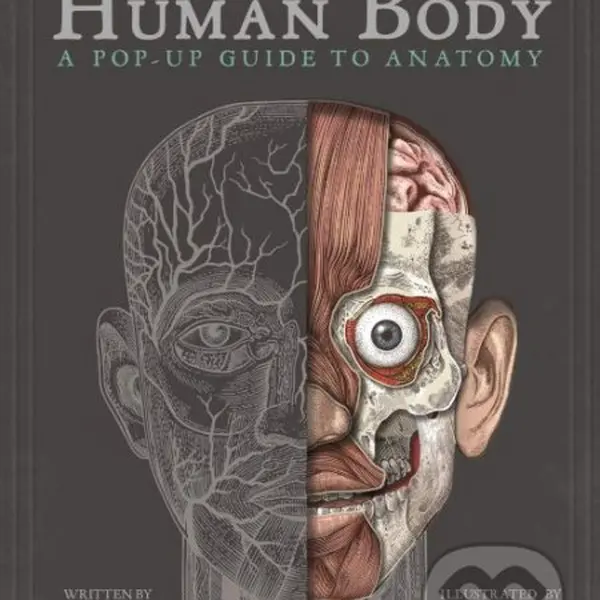 The Human Body (A Pop-Up Guide to Anatomy) - Richard Walker - kniha z kategorie Medicína