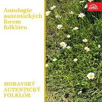 Různí interpreti – Antologie autentických forem folklóru. Moravský autentický folklór.