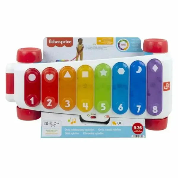 Obří xylofon Fisher Price