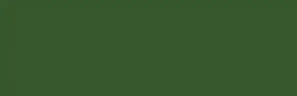 Akryl Amsterdam St. 500 ml - 622 Olive Green DP