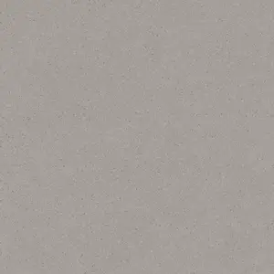 Dlažba Rako Compila taupe 60x60 cm mat DAK62867.1