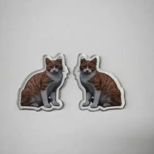 Printed Acrylic Pendants