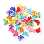 Transparent Acrylic Beads