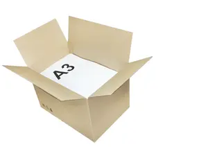 Krabice klopová na tiskoviny A4 310x220x300 3VVL - 25 Ks