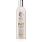 Natura Siberica Copenhagen Frozen Berries vitaminový kondicionér pro mastné vlasy 400 ml