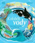 Koloběh vody (Fascinující proměny ve vodní říši) - Sam Falconer (Ilustrátor) - kniha z kategorie Encyklopedie