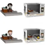 Funko POP Diorama: Harry Potter - Harry