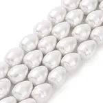 Shell Pearl Beads Strands
