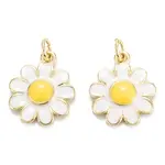 Brass Enamel Pendants