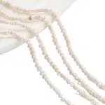 Natural Cultured Freshwater Pearl Beads Strands