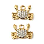 304 Stainless Steel Charms