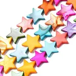 Natural Freshwater Shell Beads Strands