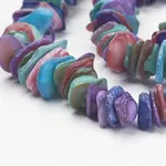 Natural Shell Beads Strands