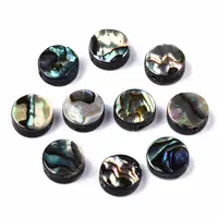 Natural Abalone Shell/Paua Shell Beads