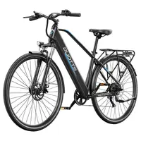 DUOTTS C29 Lite Electric Bike 250W 36V 13Ah