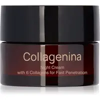 Collagenina Grade 3 Night Cream spevňujúci nočný krém proti vráskam s kolagénom 50 ml