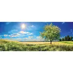 Euroart OBRAZ NA SKLE, krajina a příroda, 50/125 cm