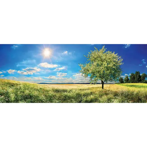 Euroart OBRAZ NA SKLE, krajina a příroda, 50/125 cm