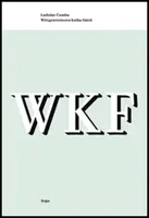 Wittgensteinova kniha faktů - Ladislav Čumba