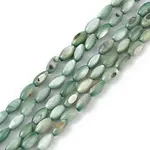 Natural Freshwater Shell Dyed Beads Strands