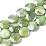 Freshwater Shell Beads Strands