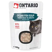 ONTARIO Polévka mořské ryby 40 g