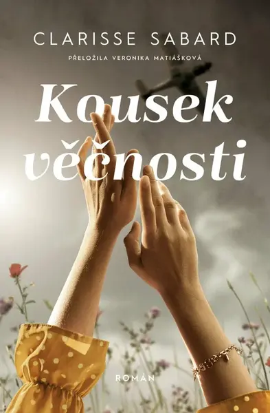 Kousek věčnosti (poškozené) - Clarisse Sabard