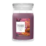 YC Signature Svíčka Velká Autumn Daydream