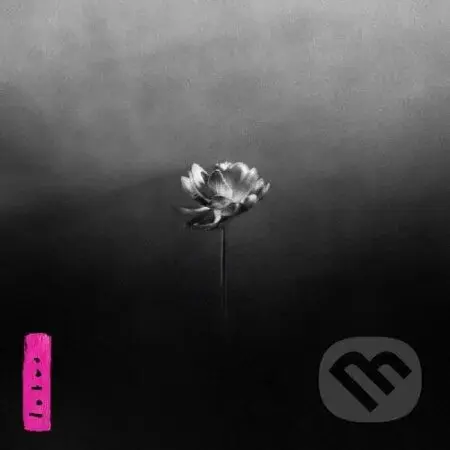 Little Simz:  Lotus - Little Simz