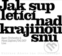 Agon Orchestra & Pavel Zajíček & DG 307 : Jak sup letící nad krajinou snu