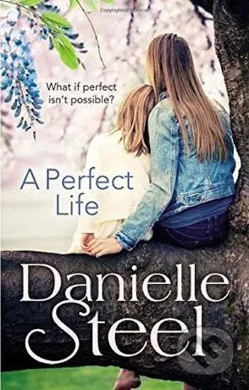 A Perfect Life - Danielle Steel