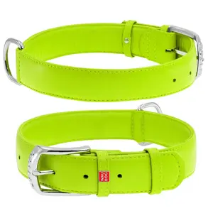 Plochý kožený obojok zelenej farby, Obvod krku: 38-49 cm, širka: 25 mm