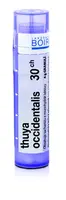 Boiron THUYA OCCIDENTALIS CH30 granule 4 g