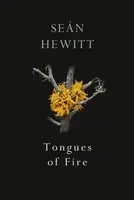 Tongues of Fire - Sean Hewitt