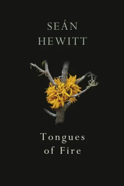 Tongues of Fire - Sean Hewitt