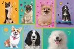 Puzzle V psím světě 100 dílků
