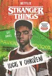 Stranger Things Lucas v ohrožení