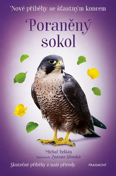 Poraněný sokol (3. díl)