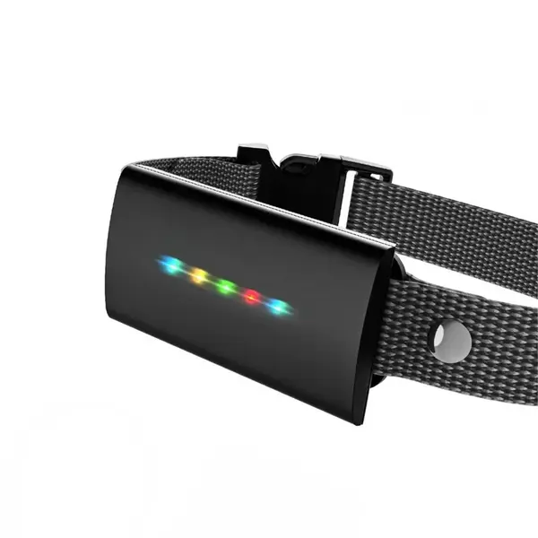 Obojok a prijímač Reedog ProTrainer MX-500